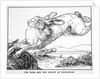 The Hare and the Bridge of Crocodiles by Anonymous