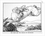 The Hare and the Bridge of Crocodiles by Anonymous