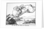 The Hare and the Bridge of Crocodiles by Anonymous