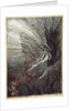 The frolic of the Rhine-Maidens by Arthur Rackham