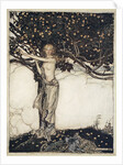 Freia, the fair one by Arthur Rackham