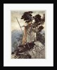 Brunnhilde by Arthur Rackham