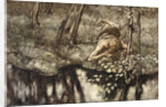 Siegfried sees himself in the stream by Arthur Rackham