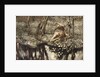 Siegfried sees himself in the stream by Arthur Rackham