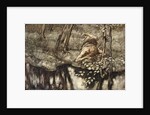 Siegfried sees himself in the stream by Arthur Rackham