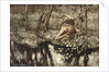 Siegfried sees himself in the stream by Arthur Rackham