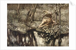 Siegfried sees himself in the stream by Arthur Rackham