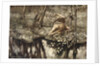 Siegfried sees himself in the stream by Arthur Rackham