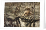 Siegfried sees himself in the stream by Arthur Rackham