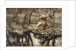 Siegfried sees himself in the stream by Arthur Rackham