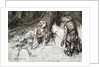 Mime finds the mother of Siegfried in the forest by Arthur Rackham