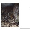 In dragon's form Fafner now watches the hoard by Arthur Rackham