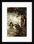 Illustration from Siegfried and the Twilight of the Gods by Arthur Rackham