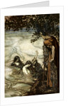 Illustration from Siegfried and the Twilight of the Gods by Arthur Rackham