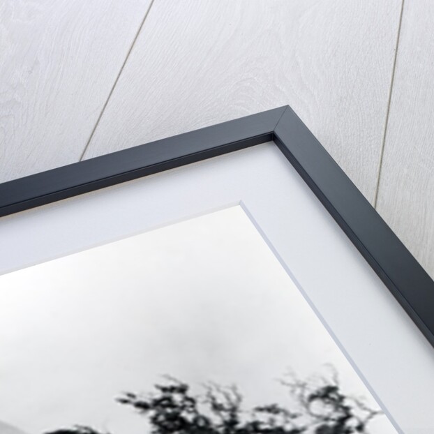 Constantinople architecture by James Robertson