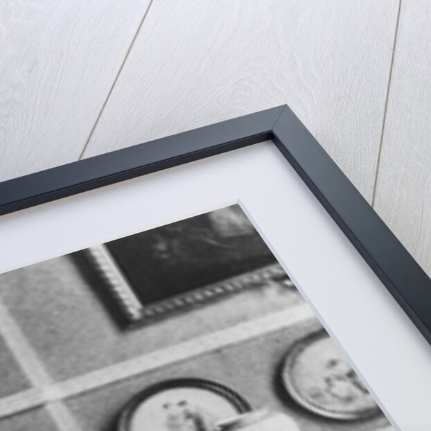 Lady Charlotte Schreiber by Anonymous