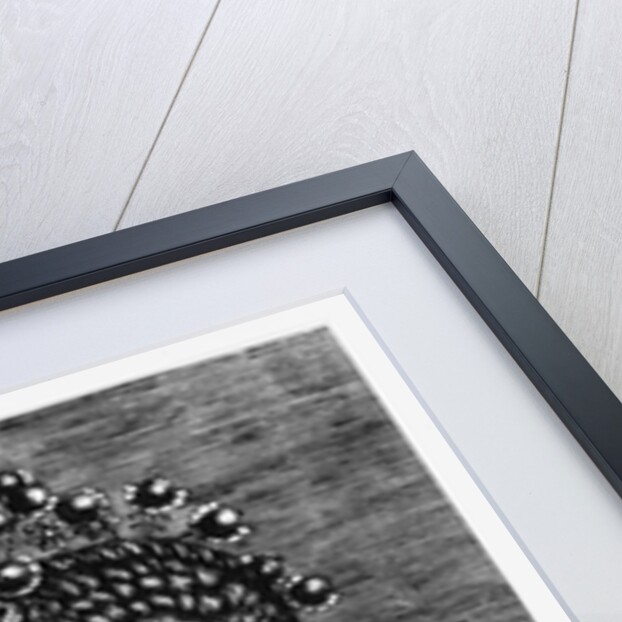 Chaterine de Bourbon by Jan Wierix