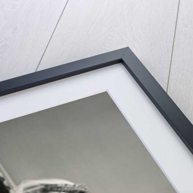 The Wedding of Prince Edward, Duke of Kent and Katharine Worsley by Cecil Beaton