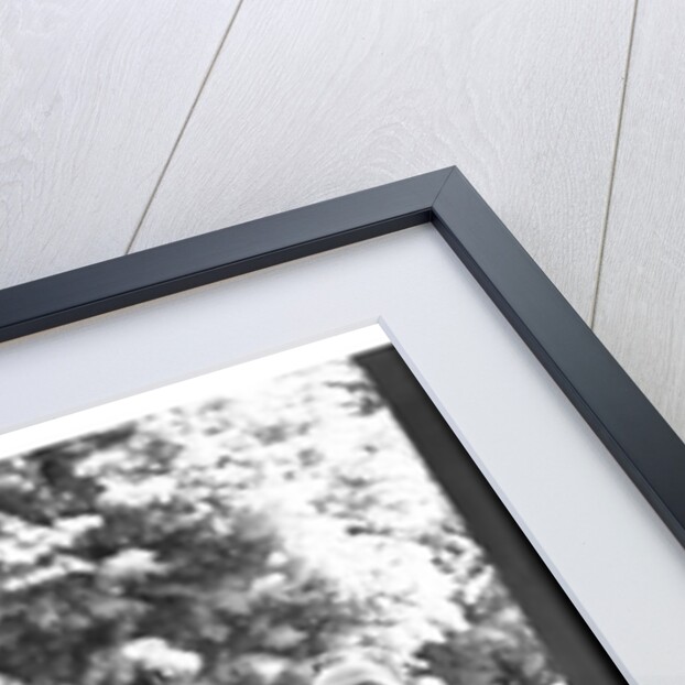 Duke and Duchess of Windsor, Cecil Beaton and Edward Dudley Metcalfe by Cecil Beaton