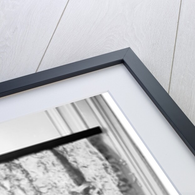 The Duke and Duchess of Windsor by Cecil Beaton