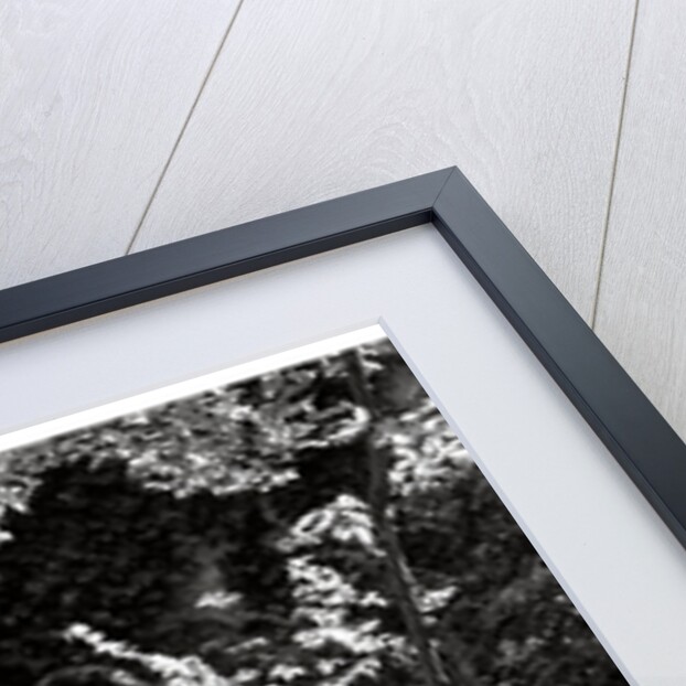 Wallis Simpson, Duchess of Windsor by Cecil Beaton