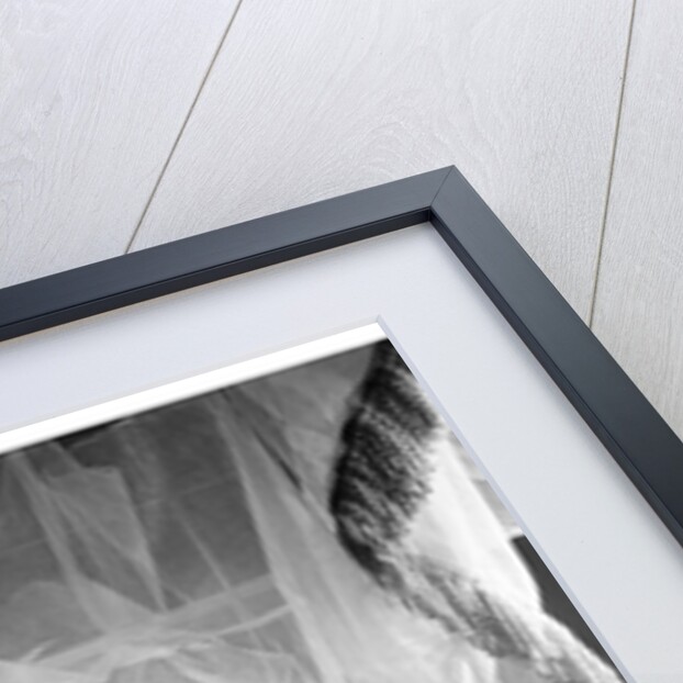 Wallis Simpson, Duchess of Windsor by Cecil Beaton