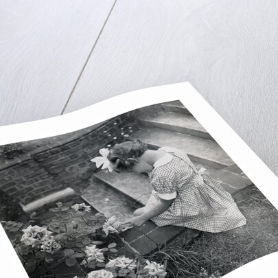 Princess Alexandra by Cecil Beaton