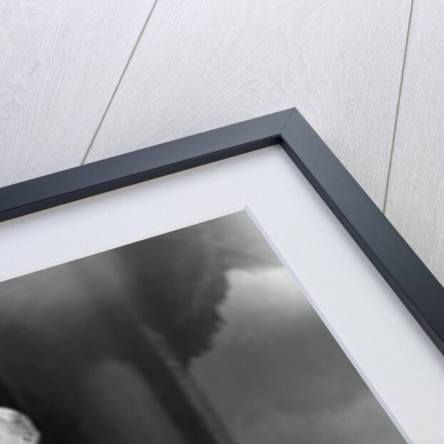 Lord Battersea by Lafayette Portrait Studios