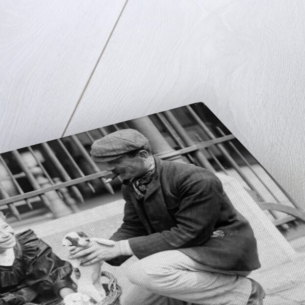 Dog Market - Buying a Puppy by Andrew Pitcairn-Knowles