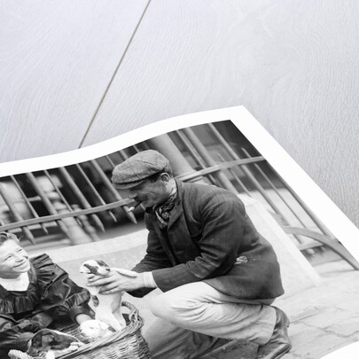 Dog Market - Buying a Puppy by Andrew Pitcairn-Knowles