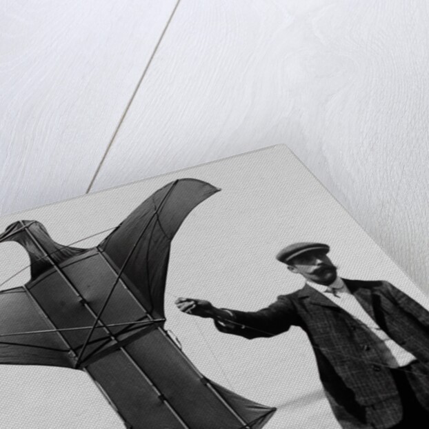 Man sized kite bird by Andrew Pitcairn-Knowles