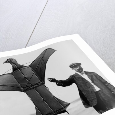 Man sized kite bird by Andrew Pitcairn-Knowles