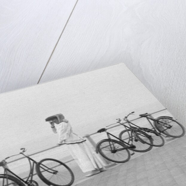 Bicycles on Promenade by Andrew Pitcairn-Knowles
