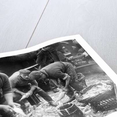 Gutting Fish by Andrew Pitcairn-Knowles