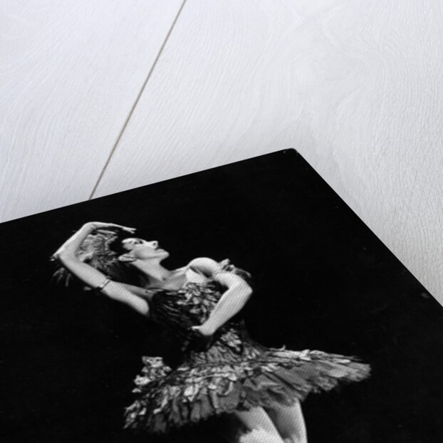 Margot Fonteyn in The Firebird at the Empire Theatre by Houston Rogers