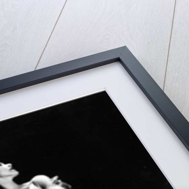 Margot Fonteyn in The Firebird at the Empire Theatre by Houston Rogers