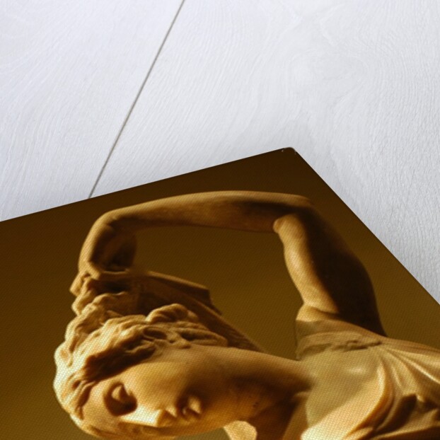 Leda and The Swan by Stuart Cox