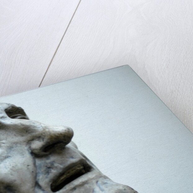 St Jerome by Stuart Cox