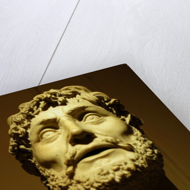 Emperor wearing a laurel wreath by Stuart Cox