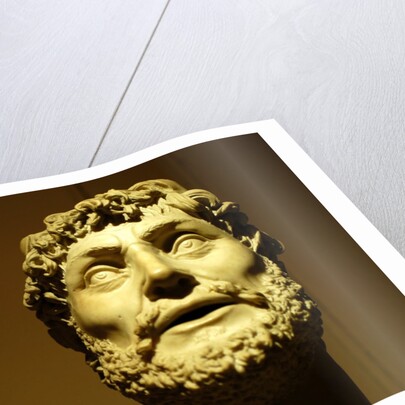 Emperor wearing a laurel wreath by Stuart Cox