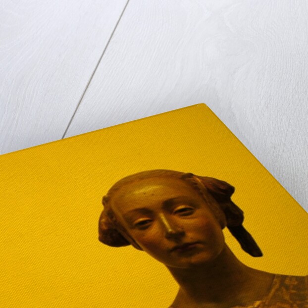 A lady by Stuart Cox