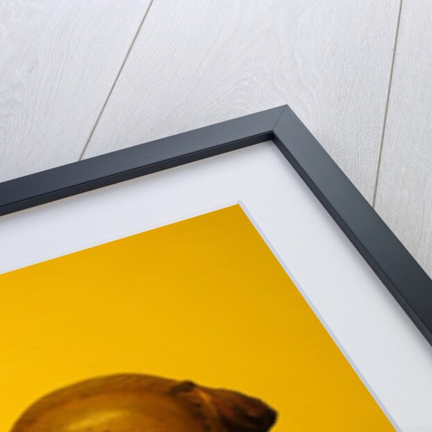 A lady by Stuart Cox