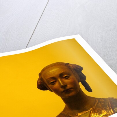 A lady by Stuart Cox