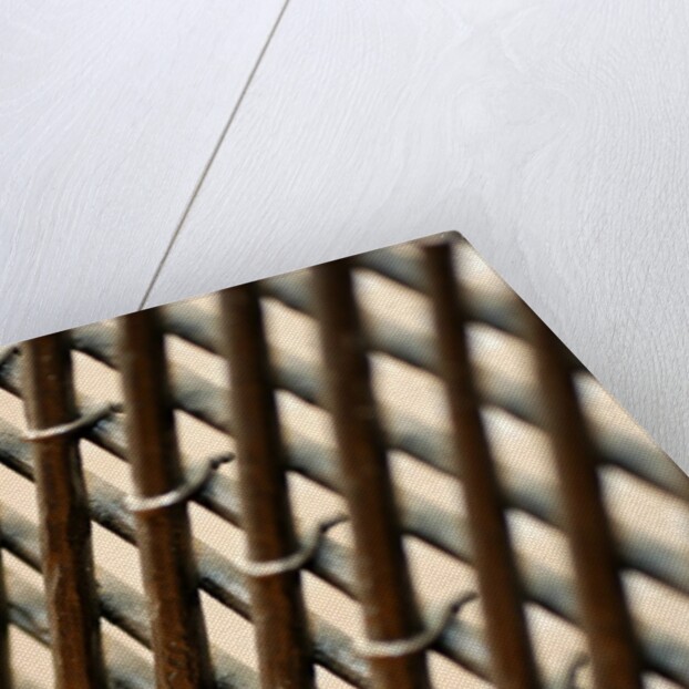 Fanlight grille, detail by Stuart Cox