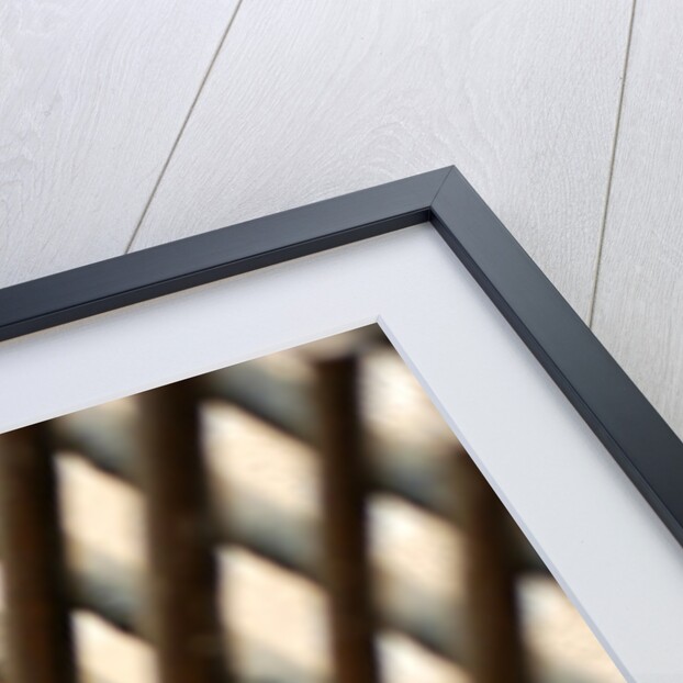 Fanlight grille, detail by Stuart Cox