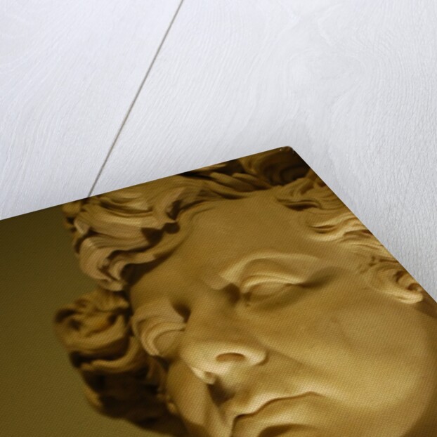 King George IV, close-up by Stuart Cox