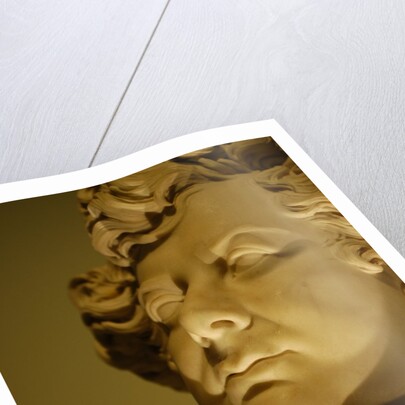 King George IV, close-up by Stuart Cox