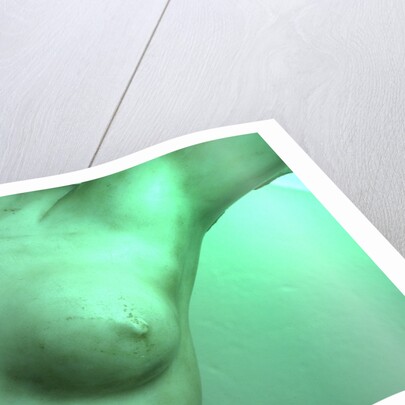 Venus, detail of breast by Stuart Cox