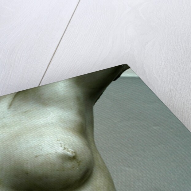 Venus, detail of breast by Stuart Cox