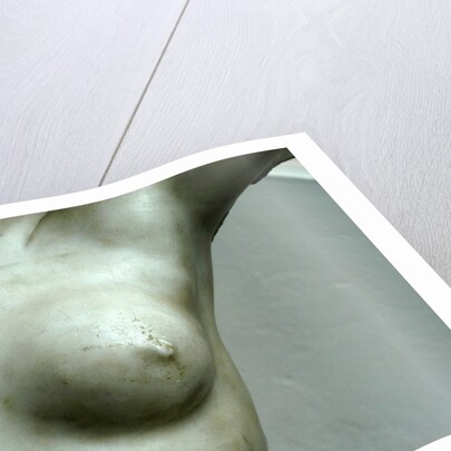 Venus, detail of breast by Stuart Cox
